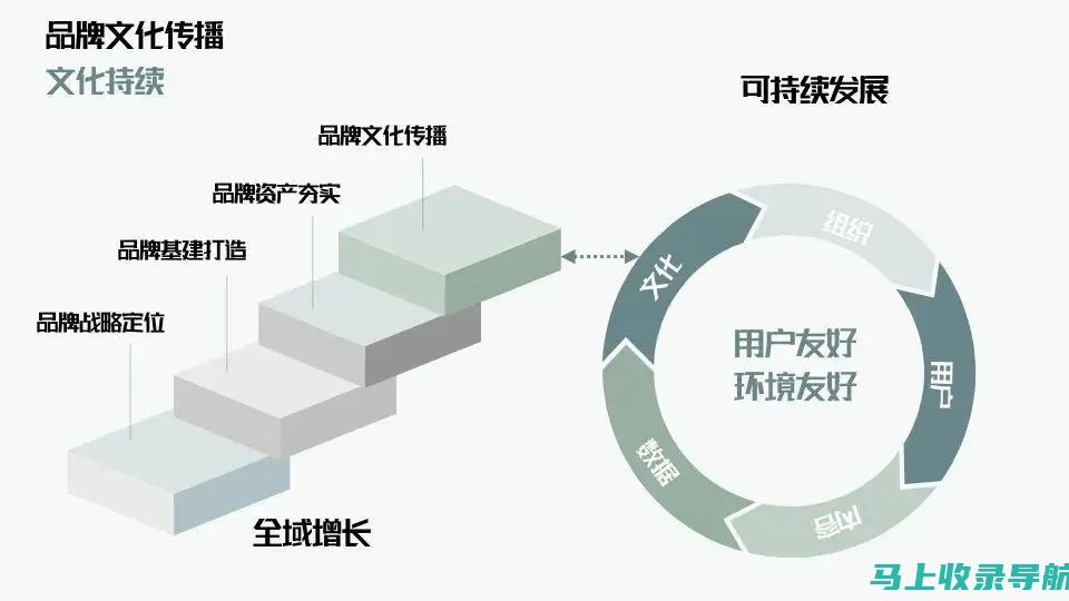 全面解析：企业网站建设所需人员资质大揭秘